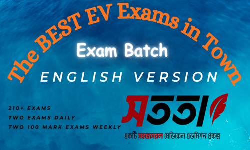 English Version Exam Batch 1.0